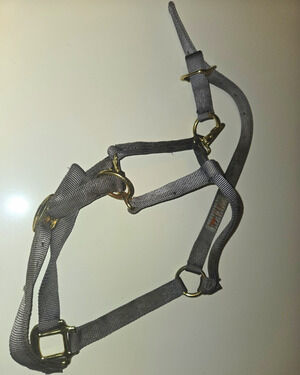 Medium Horse Halter Gray Nylon Brass Tone Hardware 800-1100 Lbs No 4402